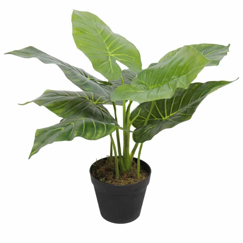 Artificial Potted Taro Elephant Ear Plant 55cms
