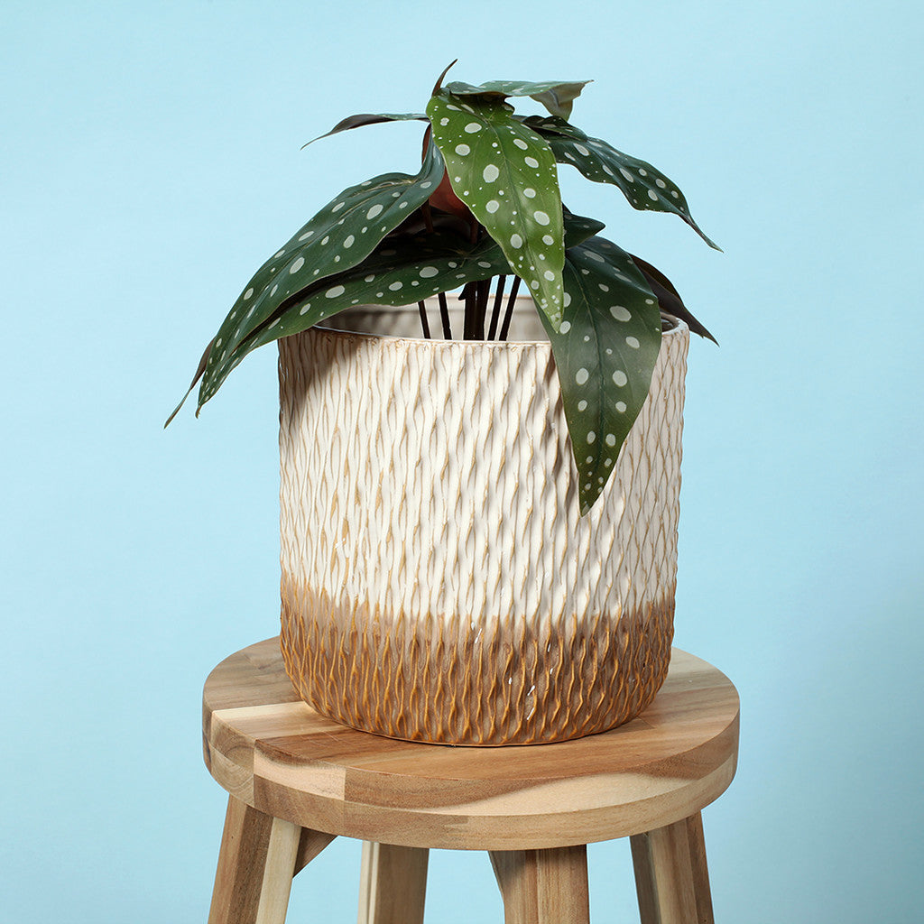 Artistic Ribbed Gold Pots - Set of 4
