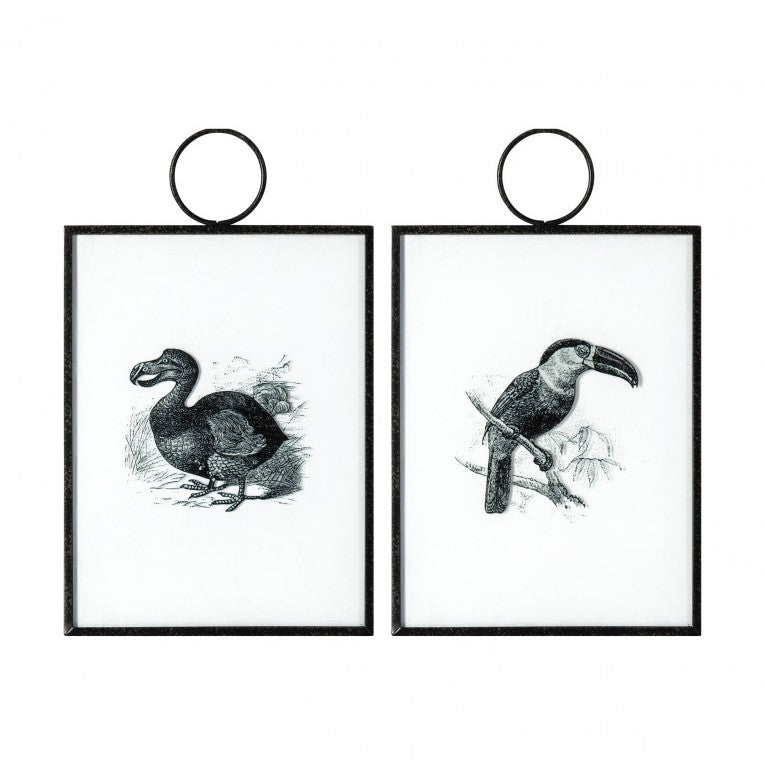 Artistry in Exotic Birds 2 Framed Hanging Set