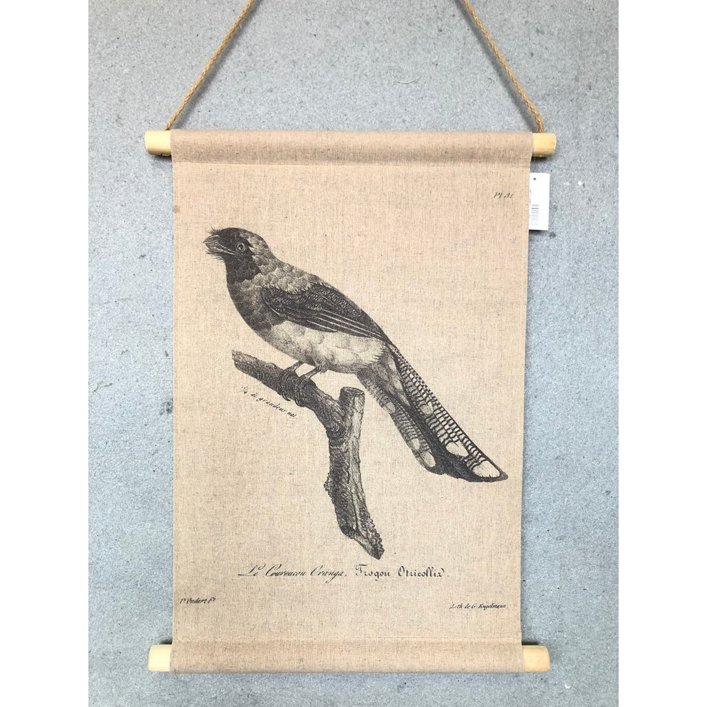 Beautiful Vintage Looking Bird Life Printed Hanger