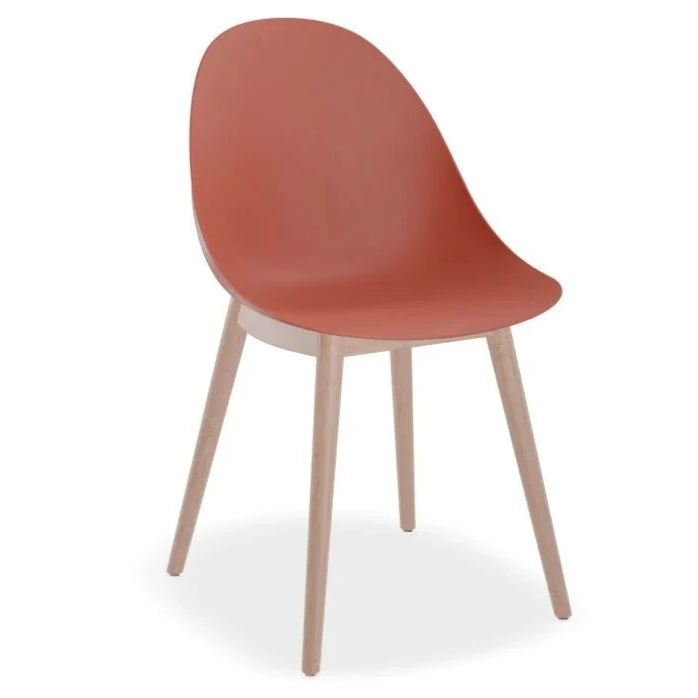 Breeze Coral Shell Seat Wooden Legs Dining Chair