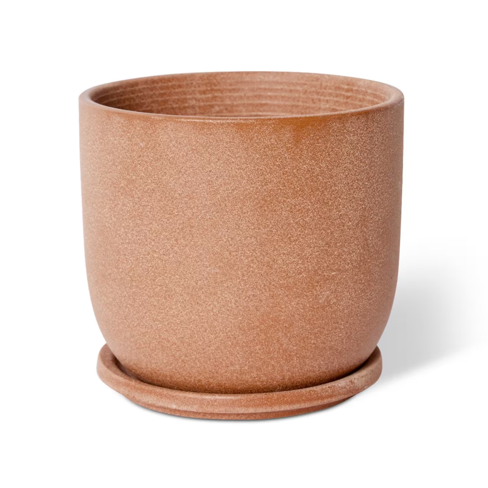 Cermaic Allegra Pot with Saucer - Available in 3 colors - 19 x 19 x 18cms