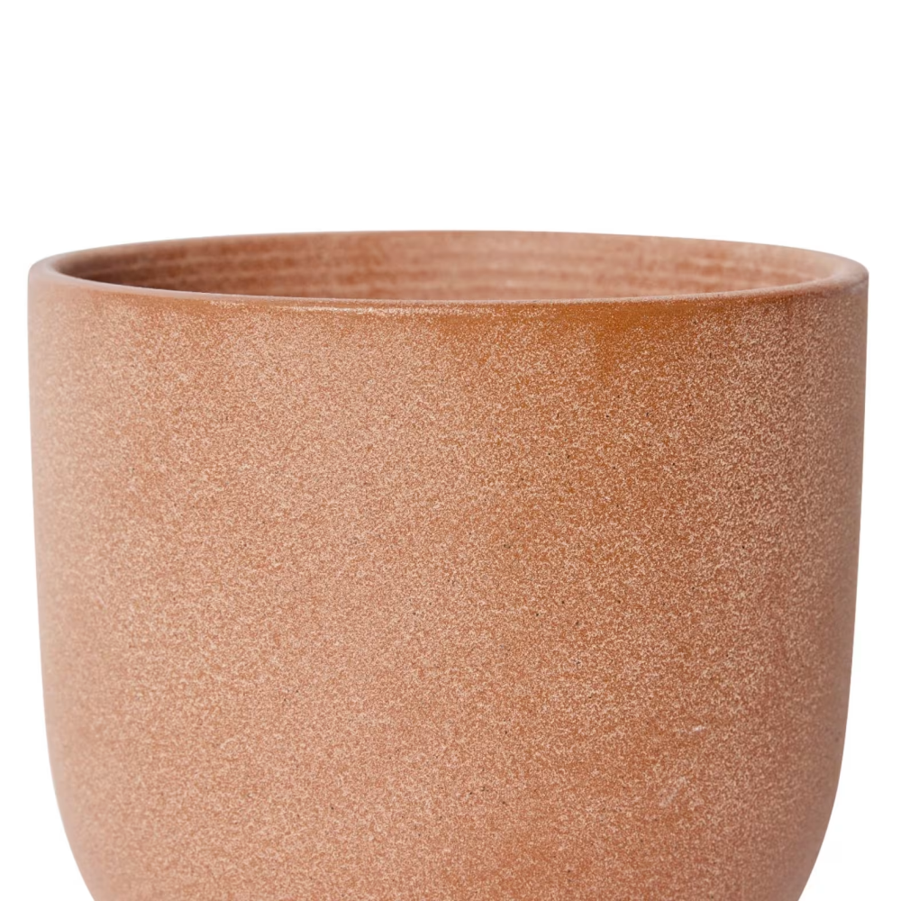 Cermaic Allegra Pot with Saucer - Available in 3 colors - 19 x 19 x 18cms
