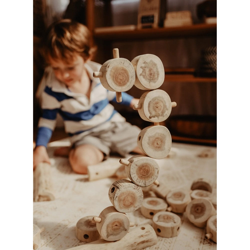 Creative Tree Construction - Set of 40