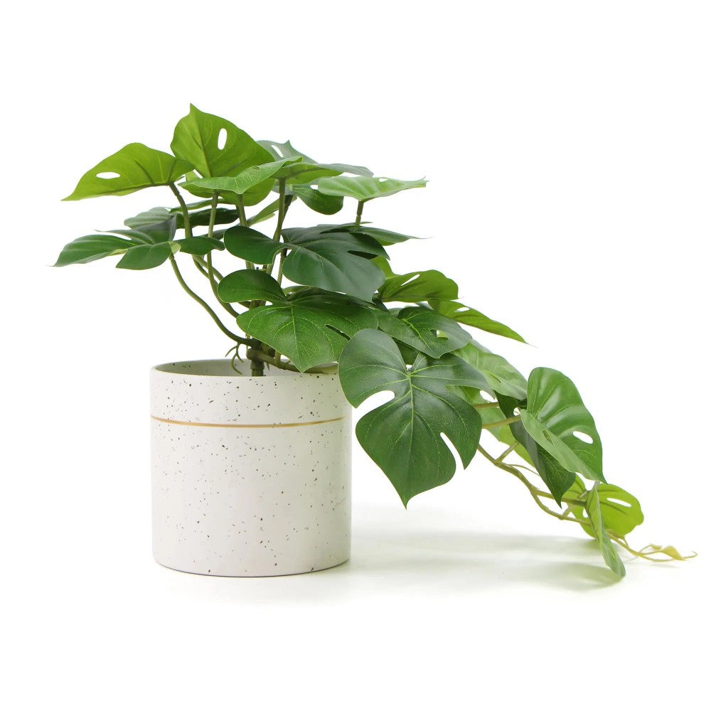 Decorative Artificial Monstera Adansonii Plant 30cms