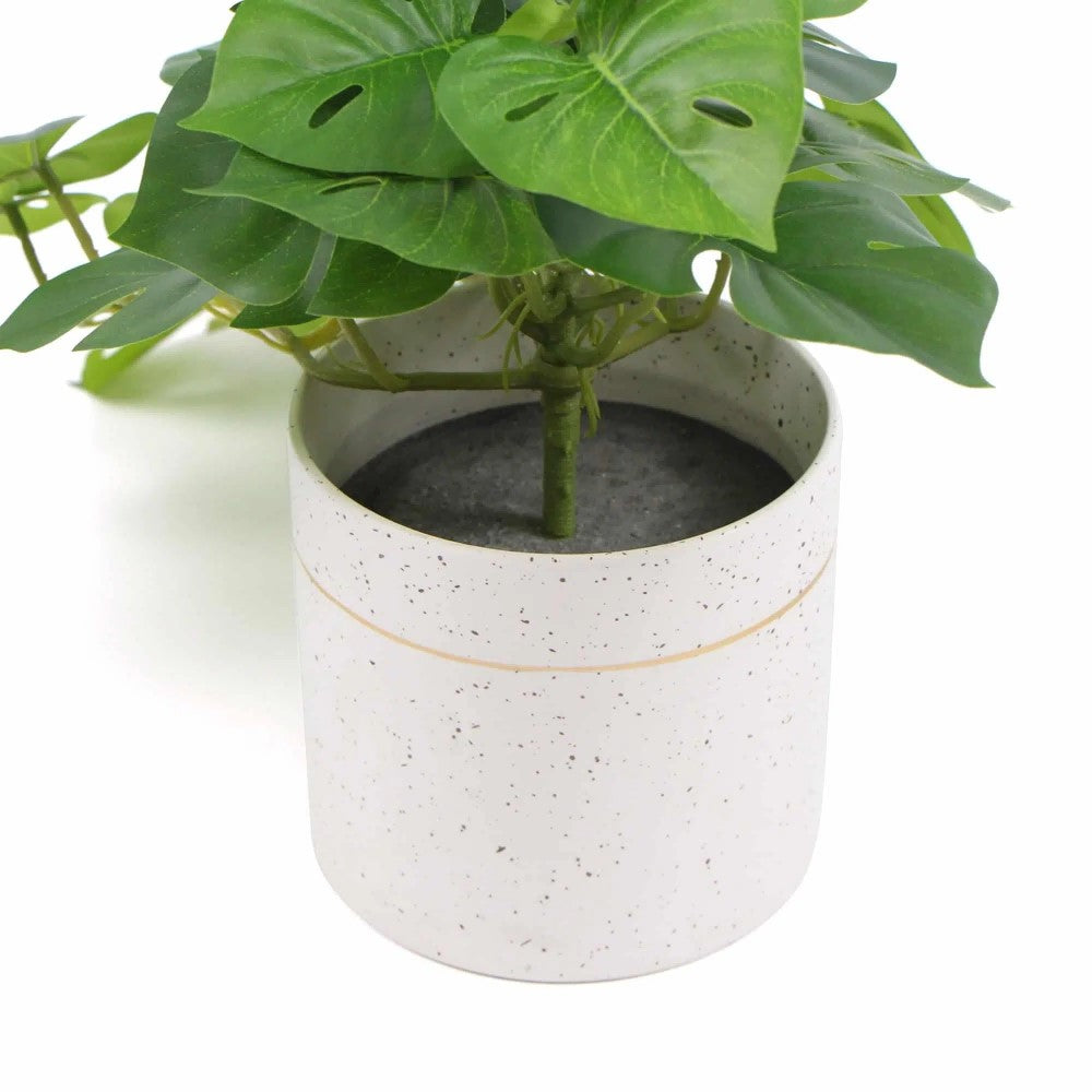 Decorative Artificial Monstera Adansonii Plant 30cms