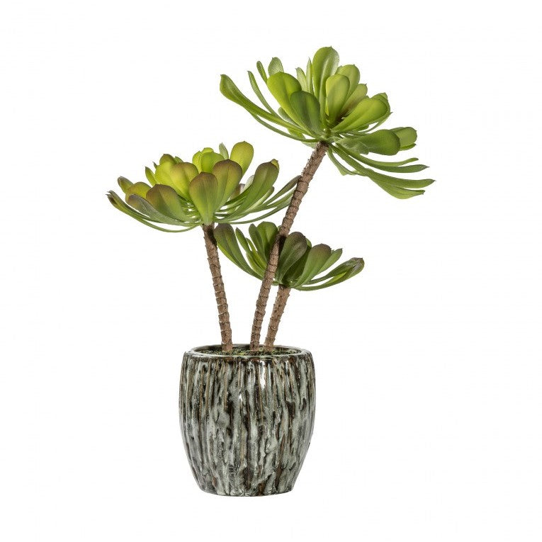 Delight Artificial Echeveria in a Rustic Cement Planter