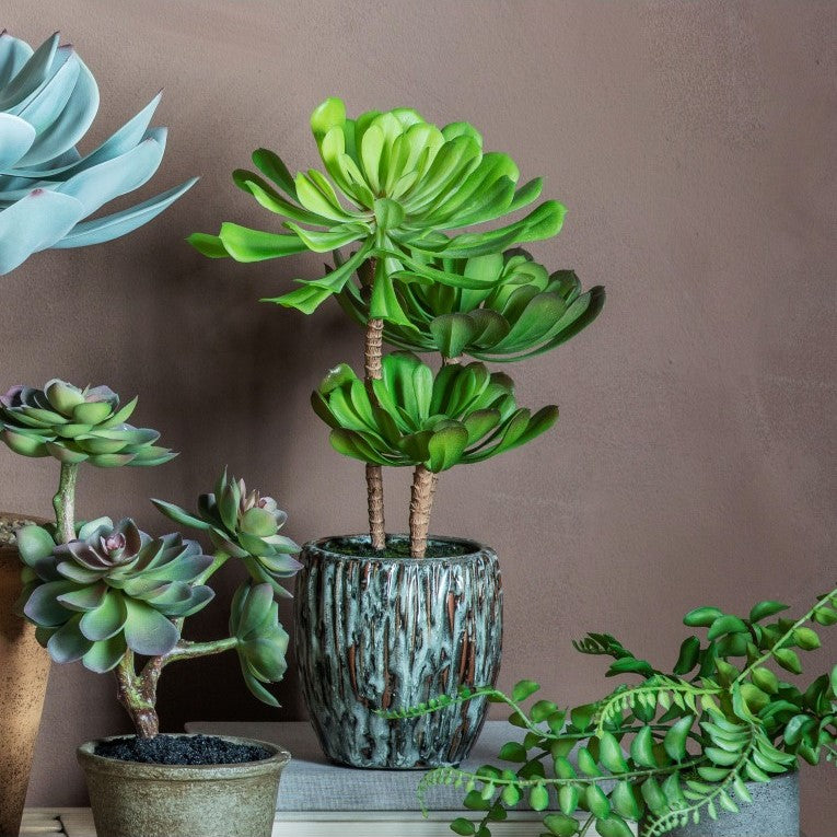 Delight Artificial Echeveria in a Rustic Cement Planter
