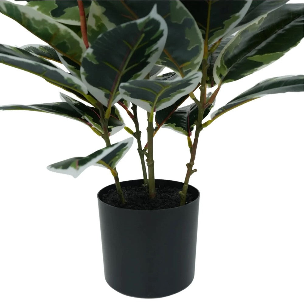 Dense Artificial Bushy Variegated Ficus Tree (Rubber Tree) 50cm