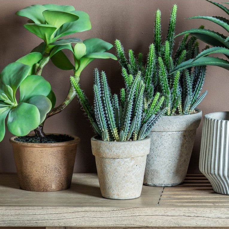 Desert Elegance Artificial Cactus Cereus in Cement Pot