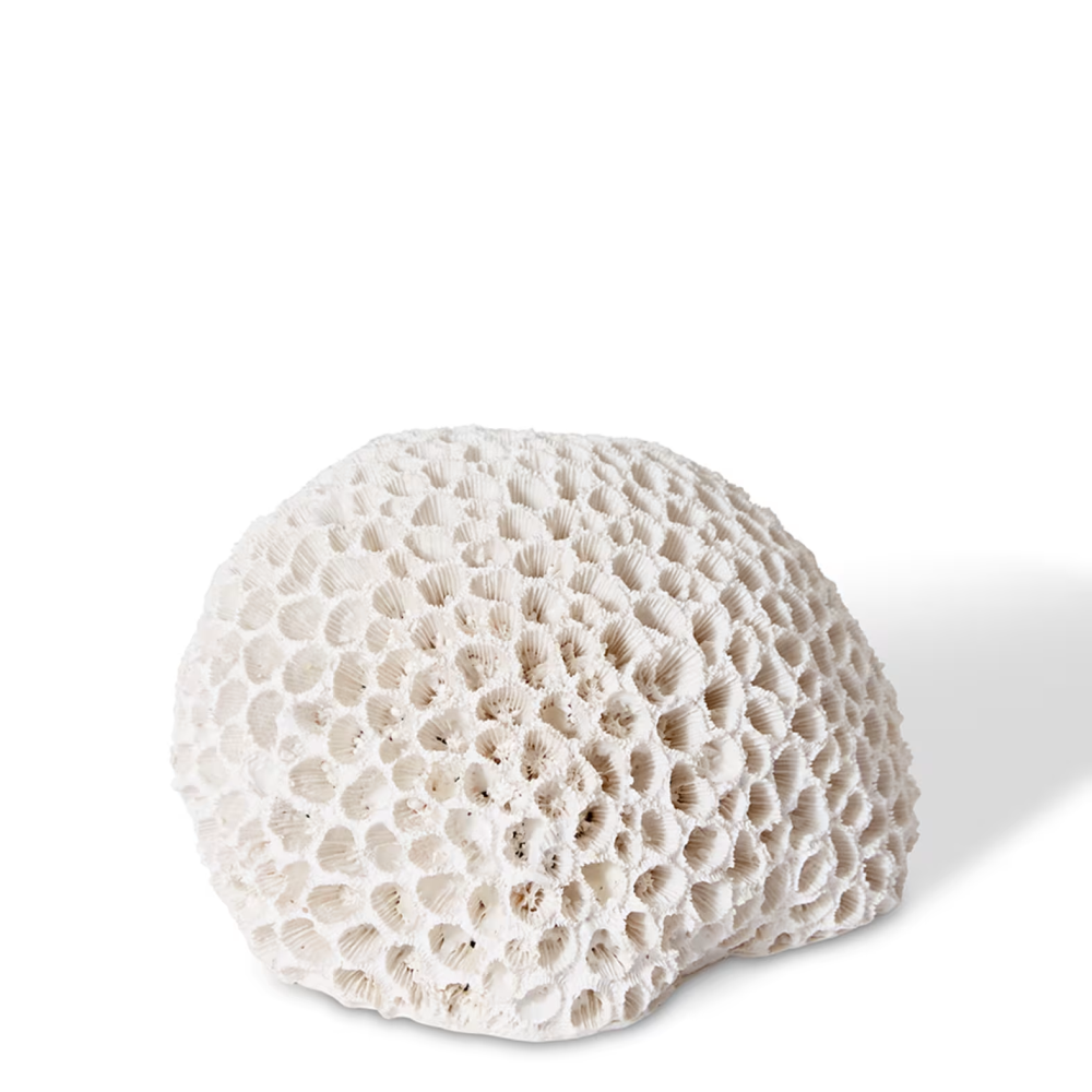 Designer Polyresin Coral Brain Decor - Small