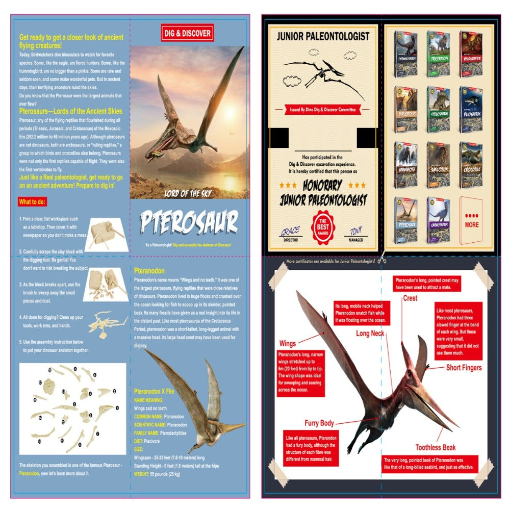 Dig & Discover Pterosaur Dig Kit