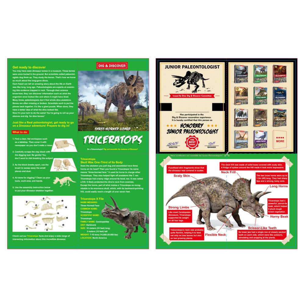 Dig & Discover Triceratops Dig Kit