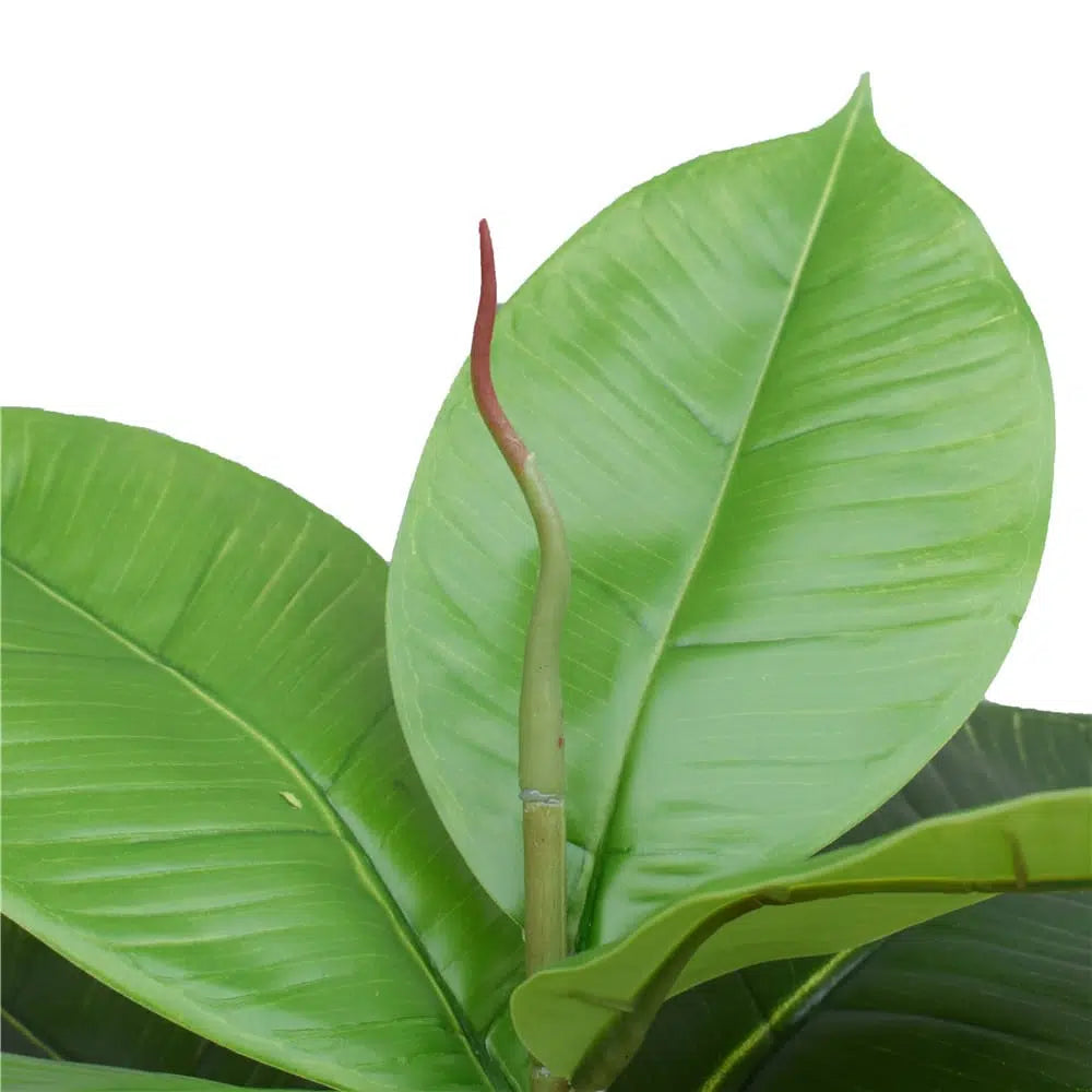 Dreamscape Artificial Potted Rubber Plant 55cms