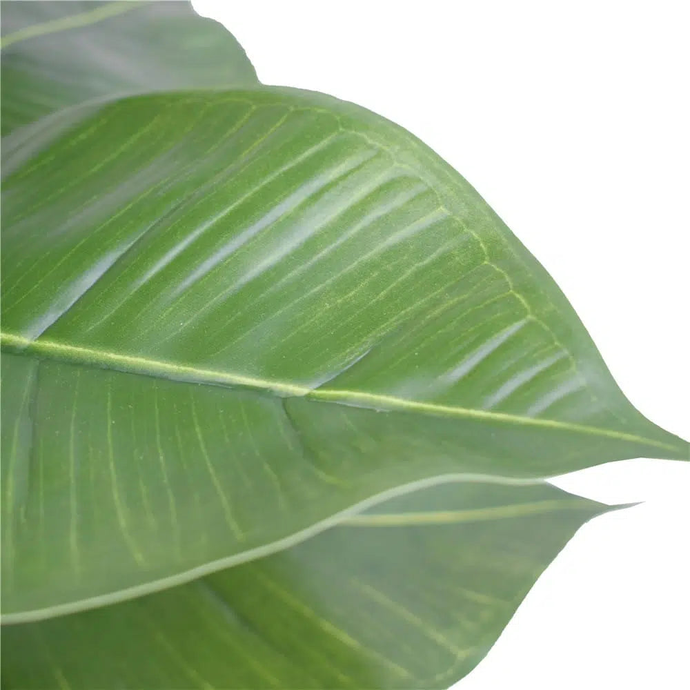 Dreamscape Artificial Potted Rubber Plant 55cms