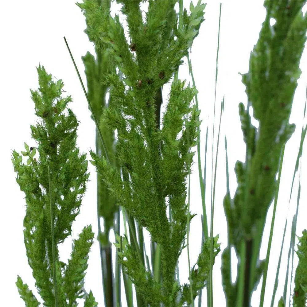 Eco-Chic Flowering Native Grass 120cms