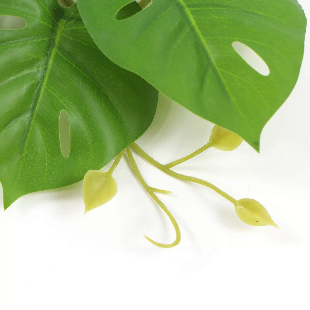 Effortless Artificial Monstera Adansonii Plant 50cms