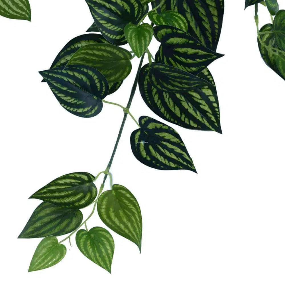 Elegant Mixed Philodendron Garland Bush 100cms