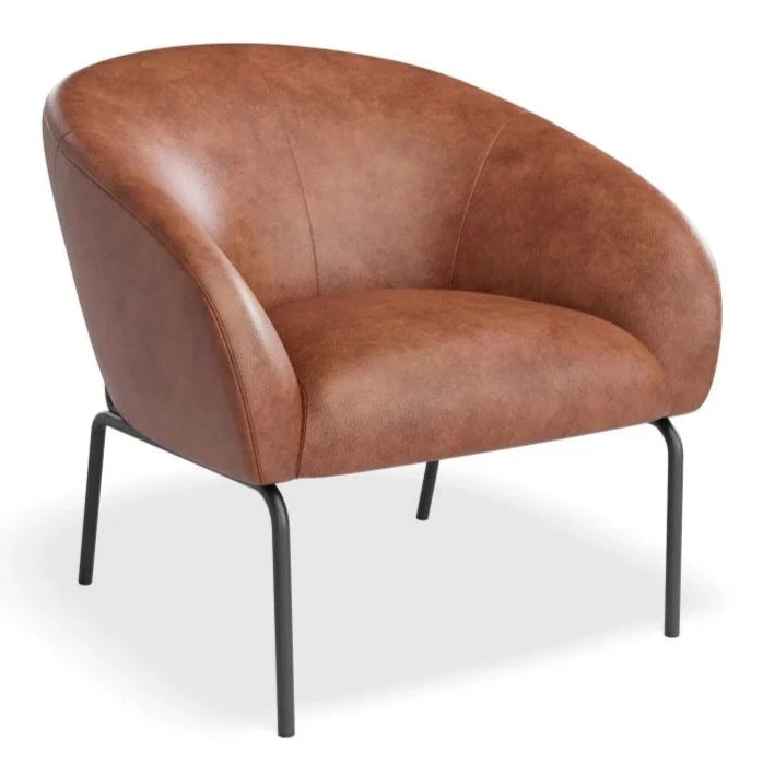 Elegant Single Seater Sofa with Matt Black Legs (Available in 4 Colors)