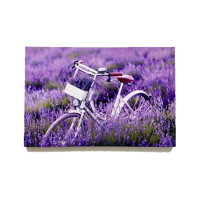 Eternal Embrace Canvas Painting - LED Bicycle