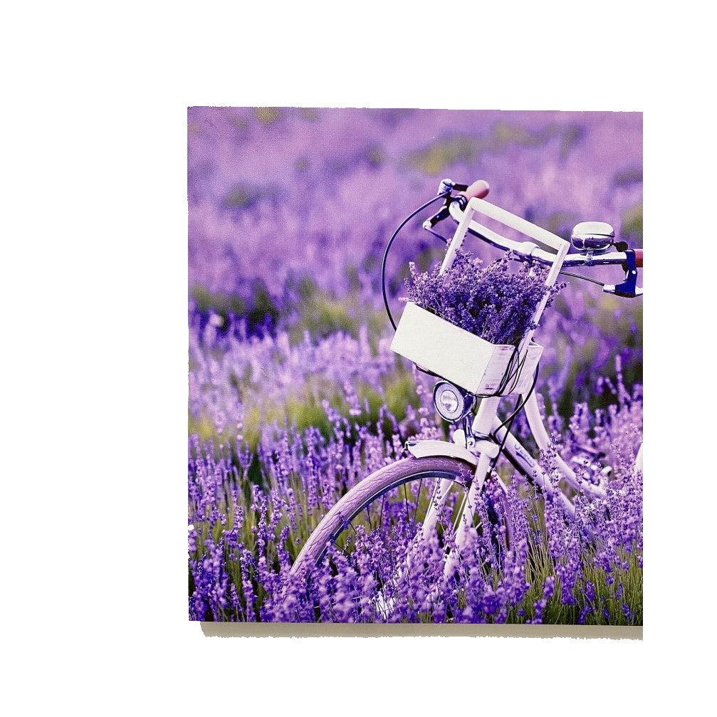 Eternal Embrace Canvas Painting - LED Bicycle