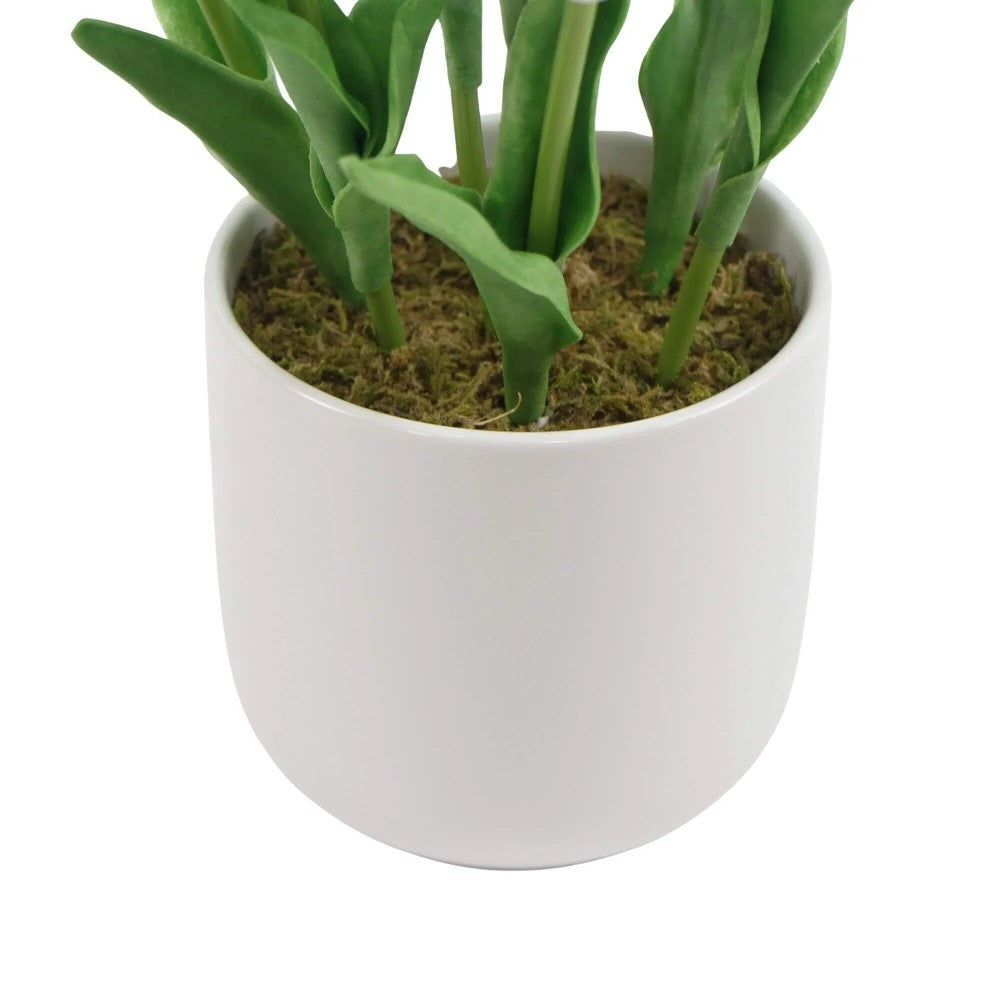 Flowering White Artificial Tulip Plant Arrangement 35cms