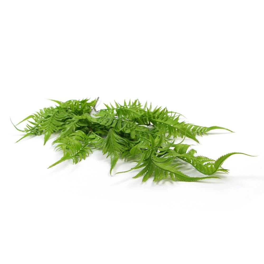 Fresh Artificial UV Resistant Fern Two-Tone Foliage 80cms