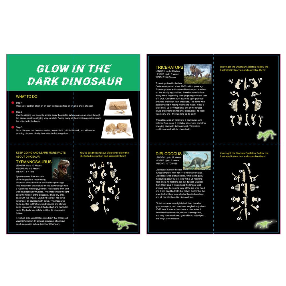 Glow in the Dark Diplodocus Excavation Kit