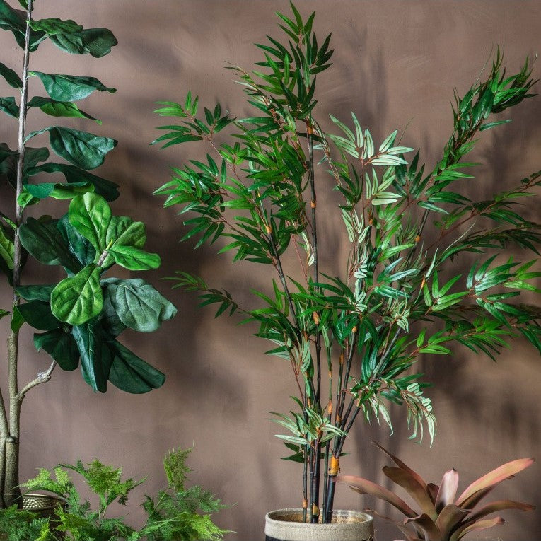 Green Elegance Bamboo Canopy of Leaves