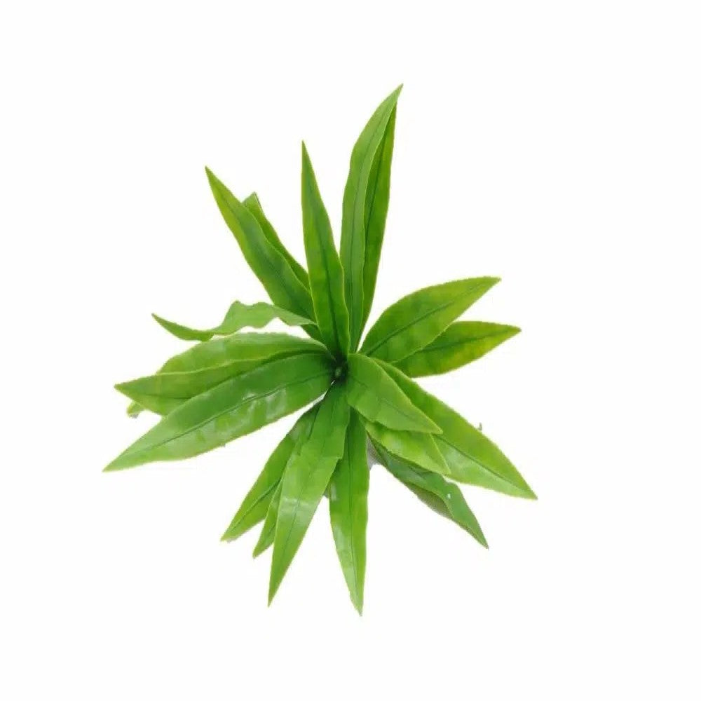 Green UV Resistant Aloe Vera Stem 20cms