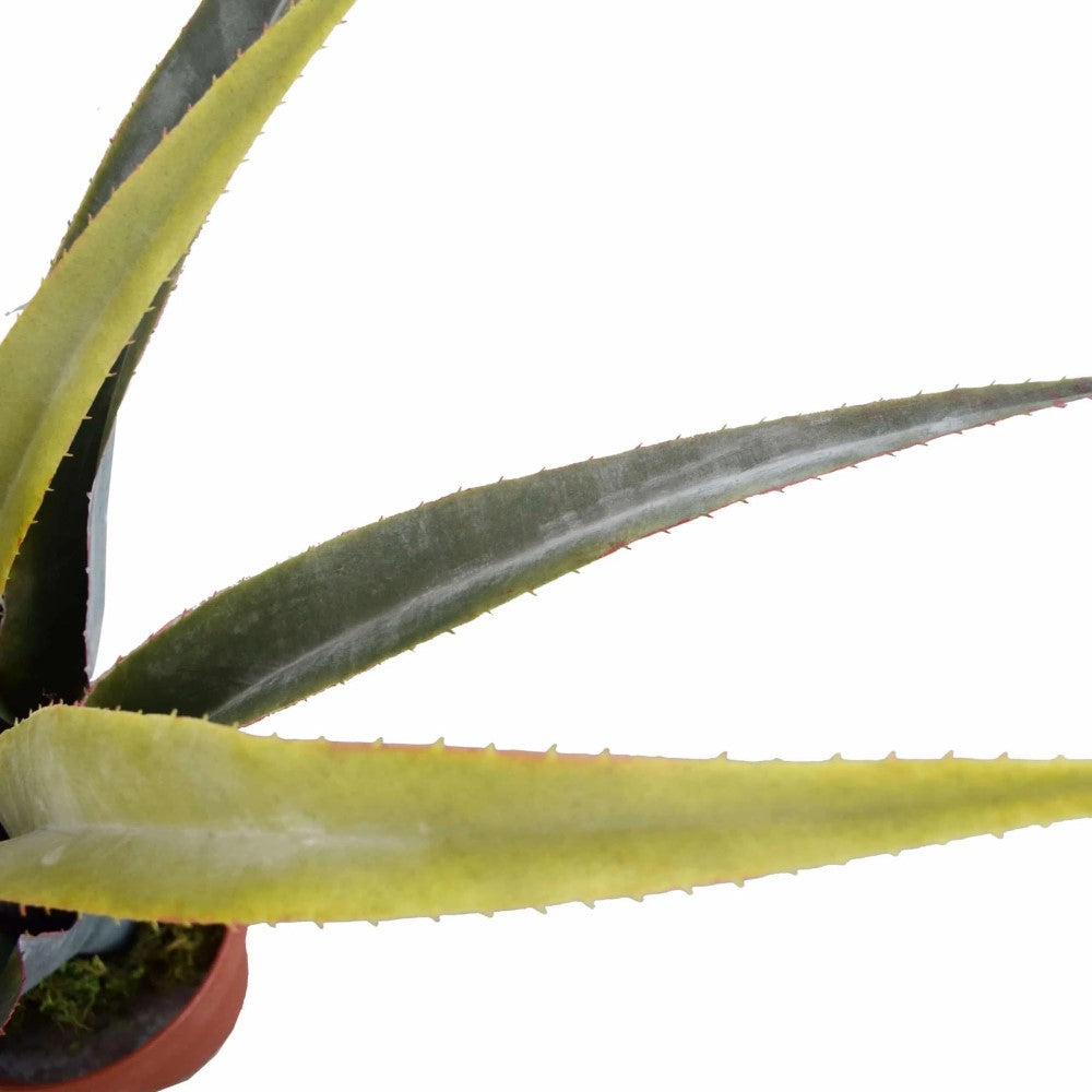Greenery Artificial Dracaena Potted Plant 80cms