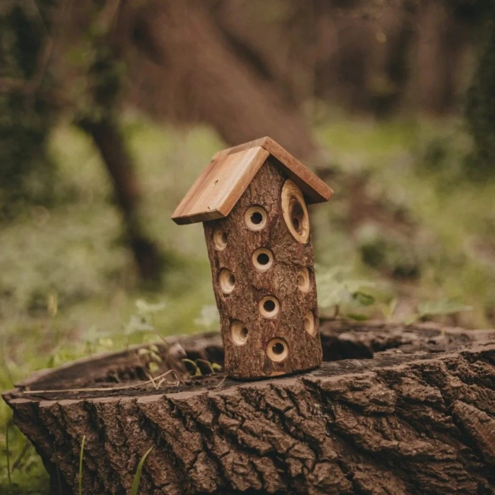 Handcrafted Tree Ladybug House
