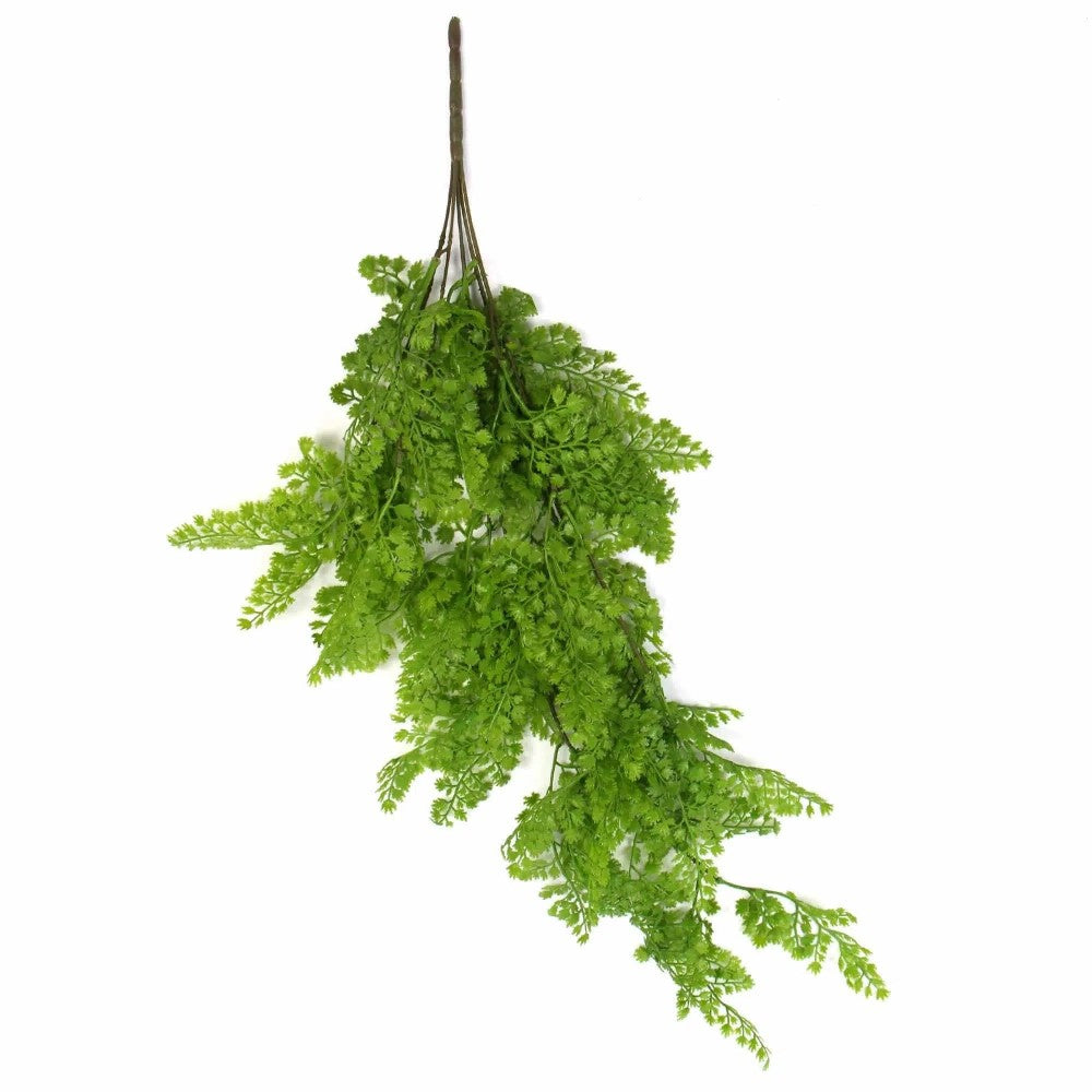Hanging Native Green Maiden Hair Fern 80cms