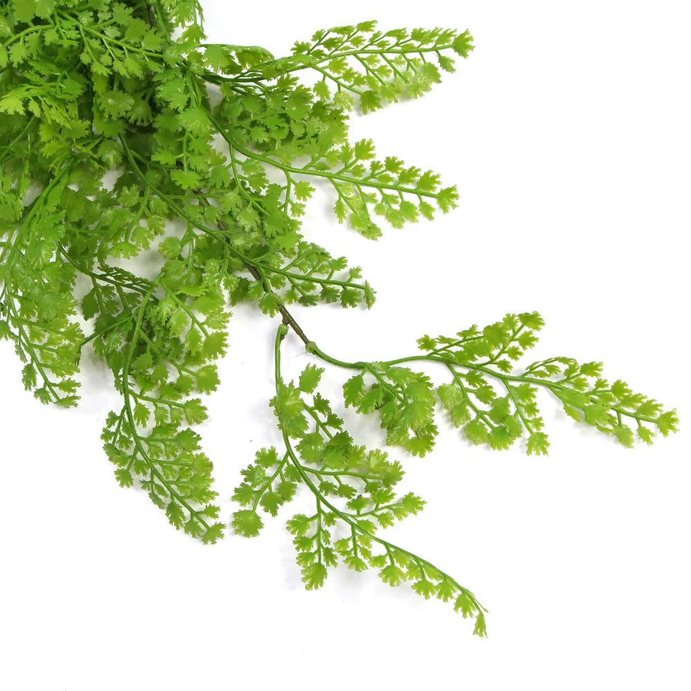 Hanging Native Green Maiden Hair Fern 80cms