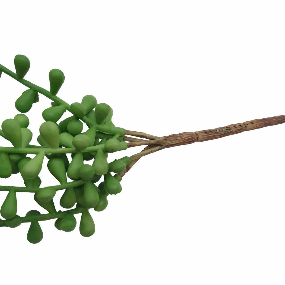 Hanging Succulent String Of Pearl Beads 75cms