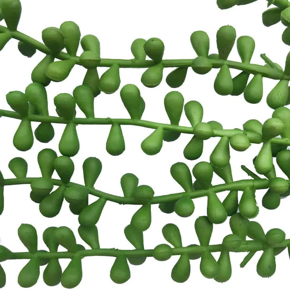 Hanging Succulent String Of Pearl Beads 75cms