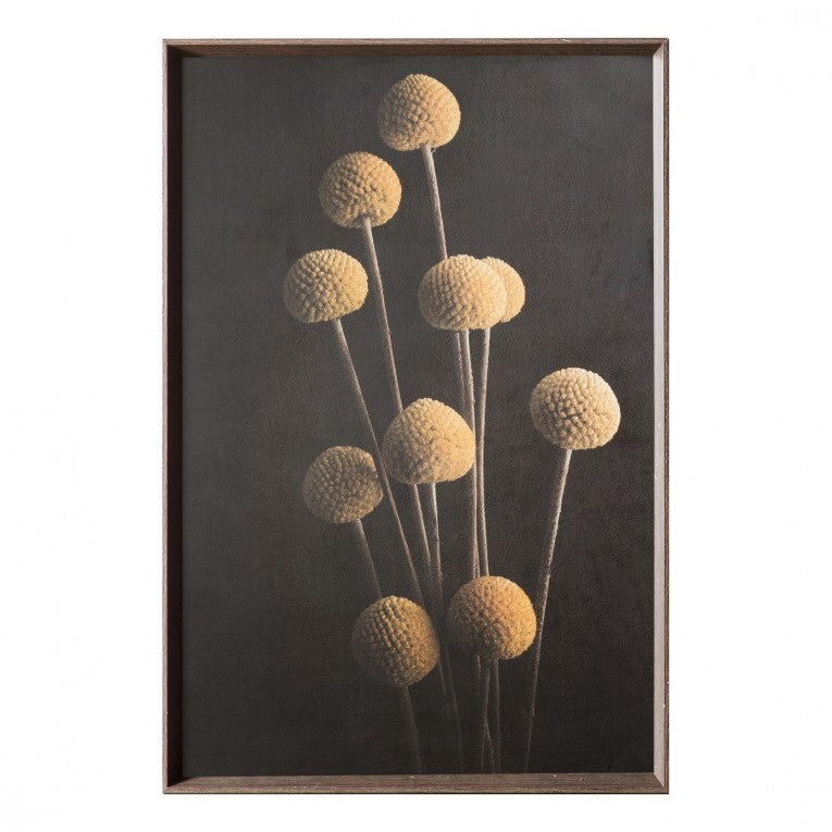 Botany Stem in Dark Wood Framed Print