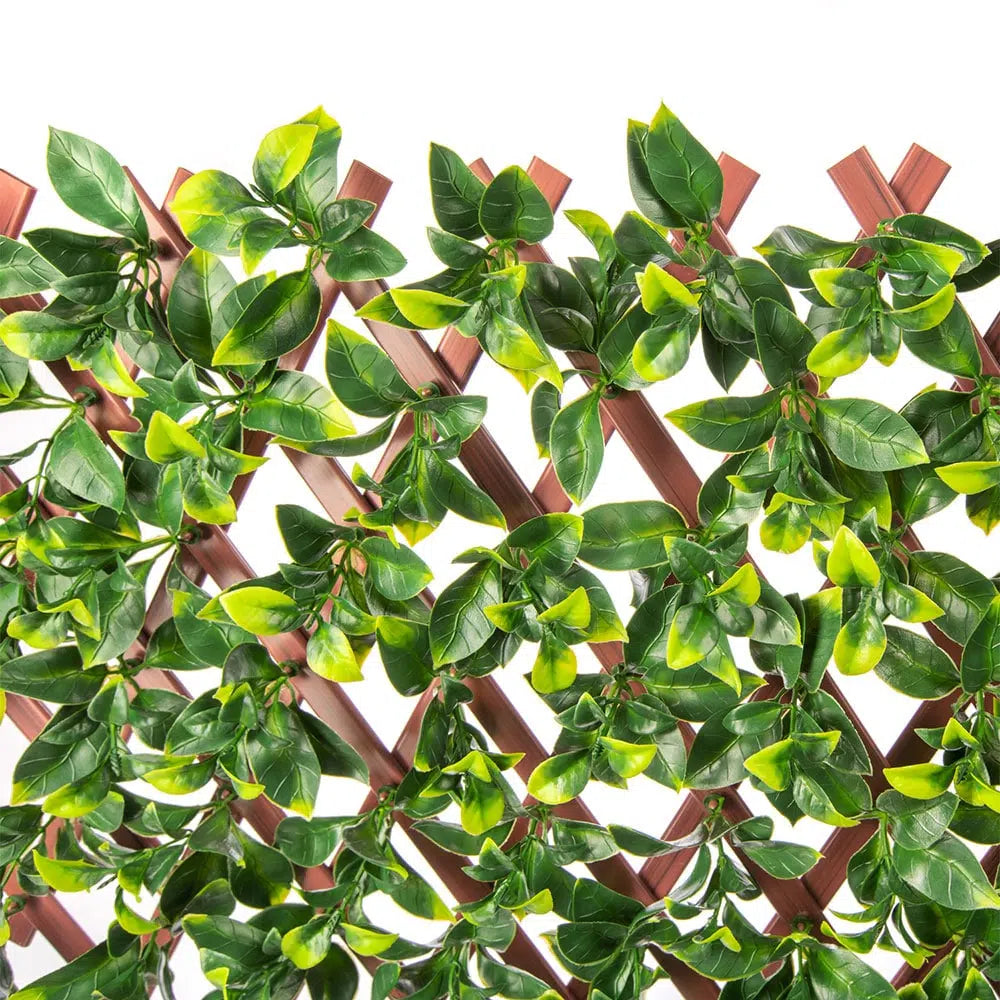 Jasmine Artificial Hedge Extendable Trellis 2m X 1m