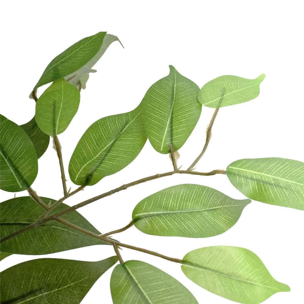 Large Custom-Made Ficus Tree 250cms
