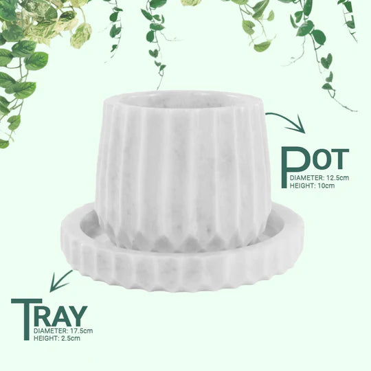 Marble Planter Straight Line Design 10cms (Available in 2 Colors)