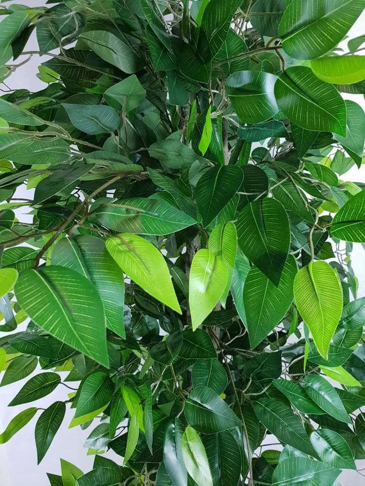 Mixed Green Bushy Artificial Ficus Tree 180cms