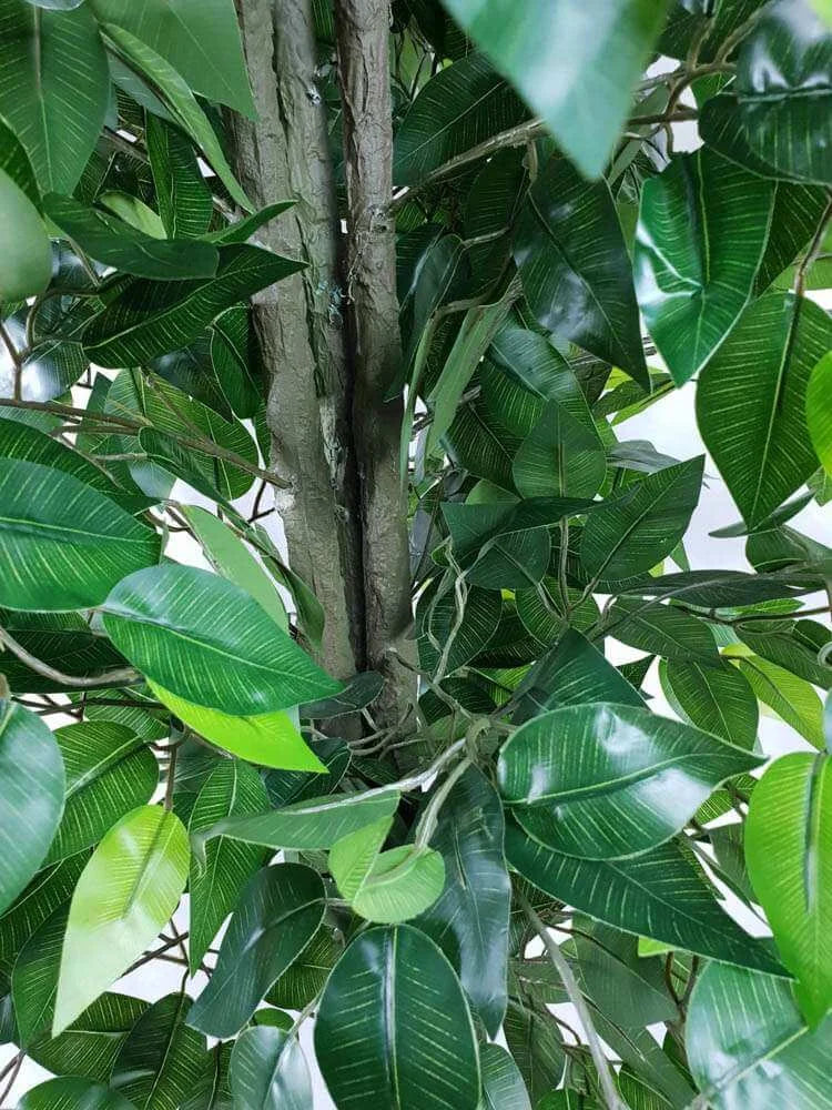 Mixed Green Bushy Artificial Ficus Tree 180cms