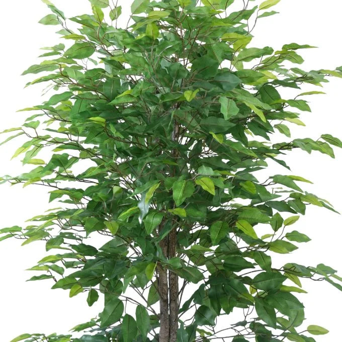 Mixed Green Bushy Artificial Ficus Tree 180cms