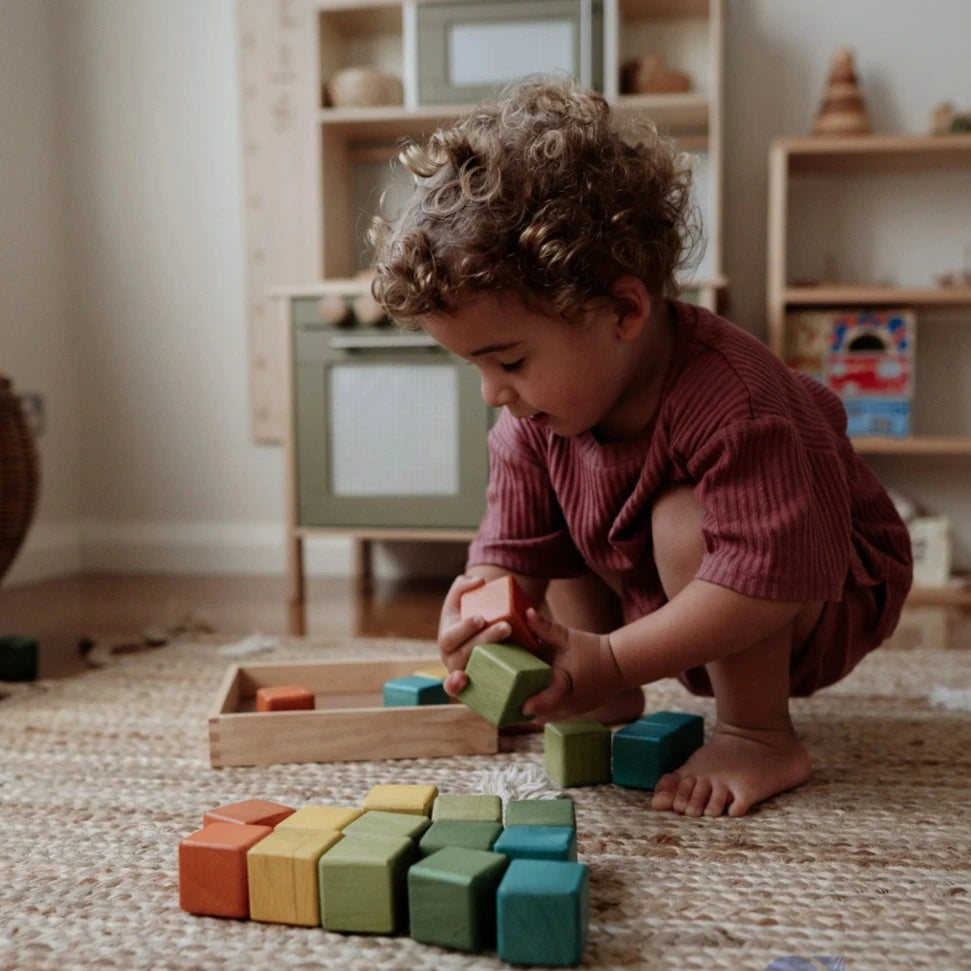 Multicolor Wooden First Block Set