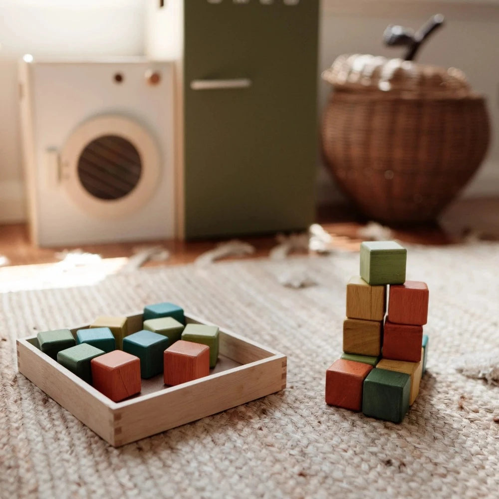 Multicolor Wooden First Block Set