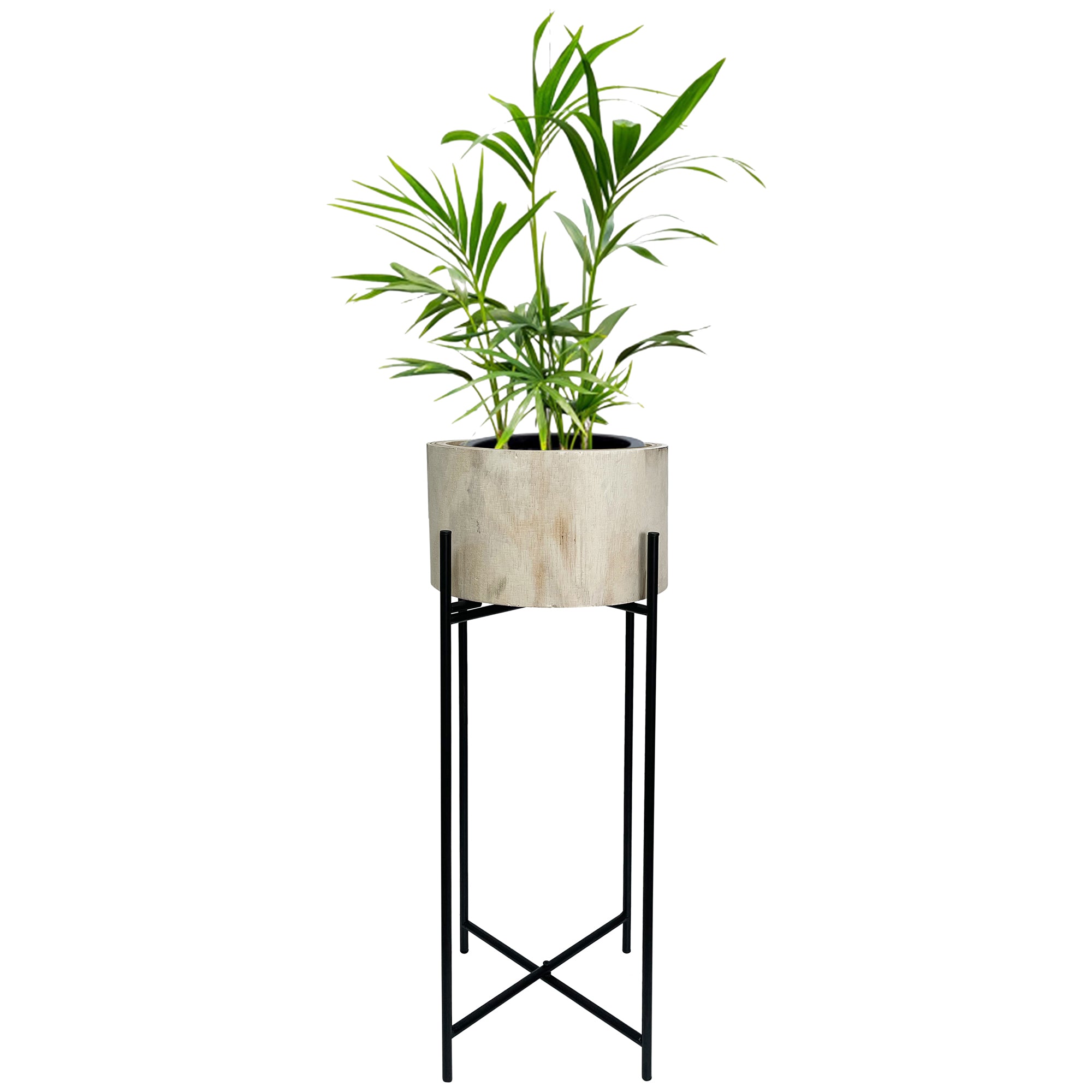 Natural Wood Potplanter on Cross-Legged Stand 66cms