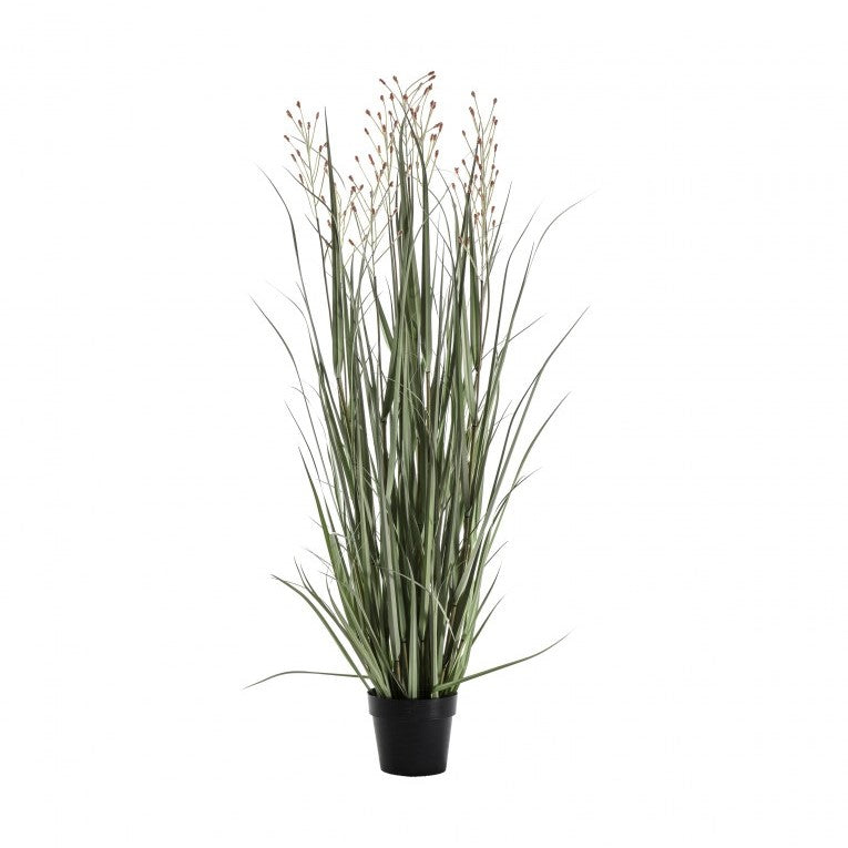 Artificial Potted Grass Showcasing 7 Heads of Verdant Beauty