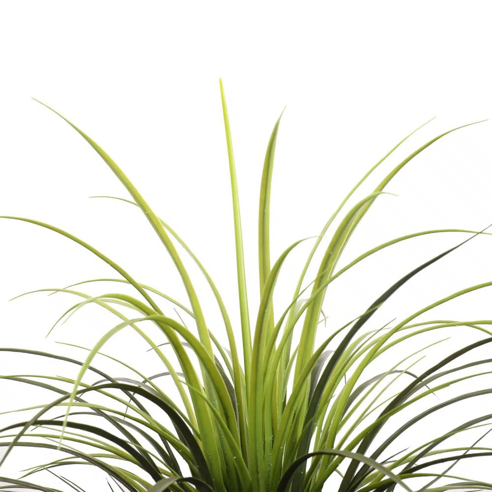 Potted UV Resistant Artificial Long Yucca Grass 115cms