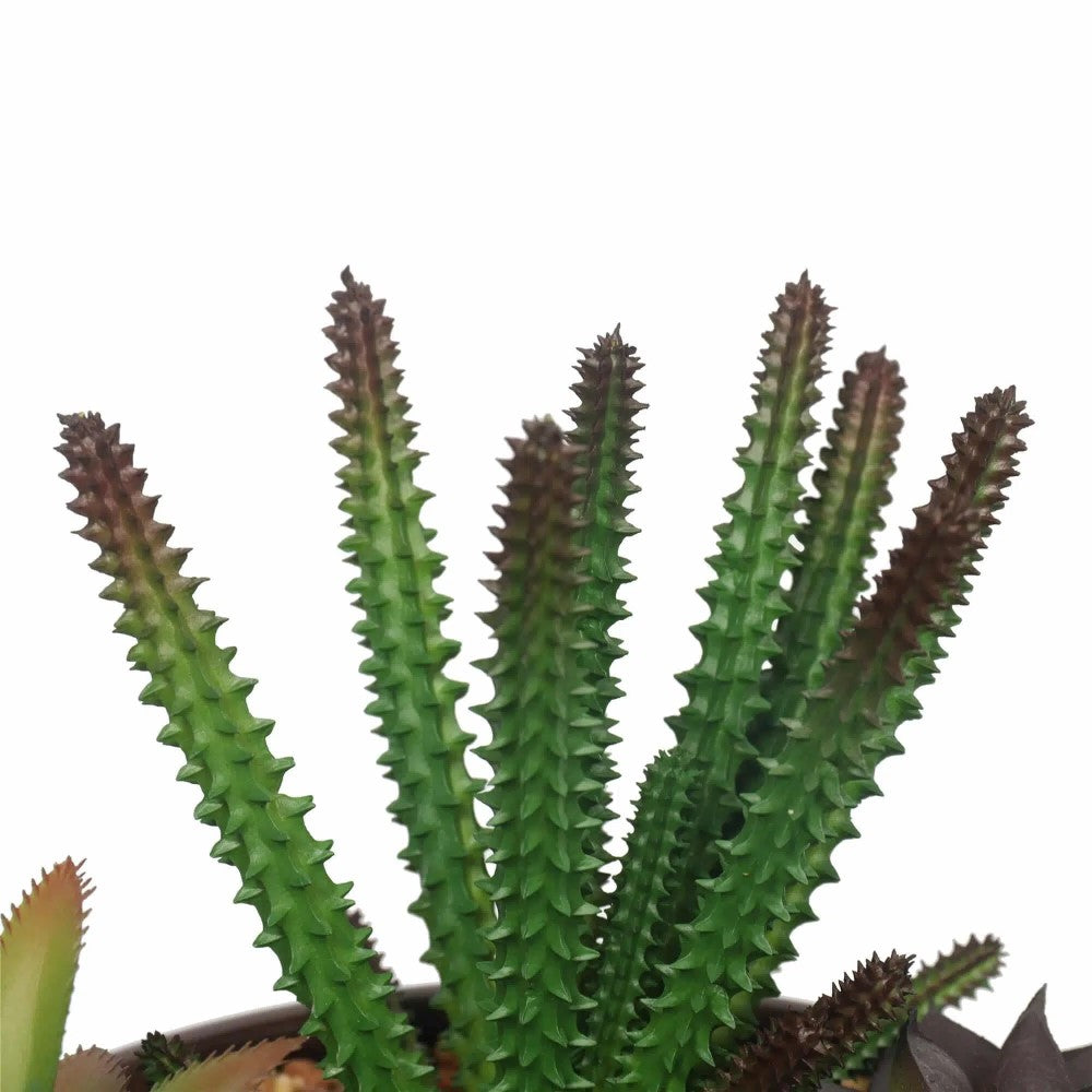 Round Bowl Artificial Succulents 19cms