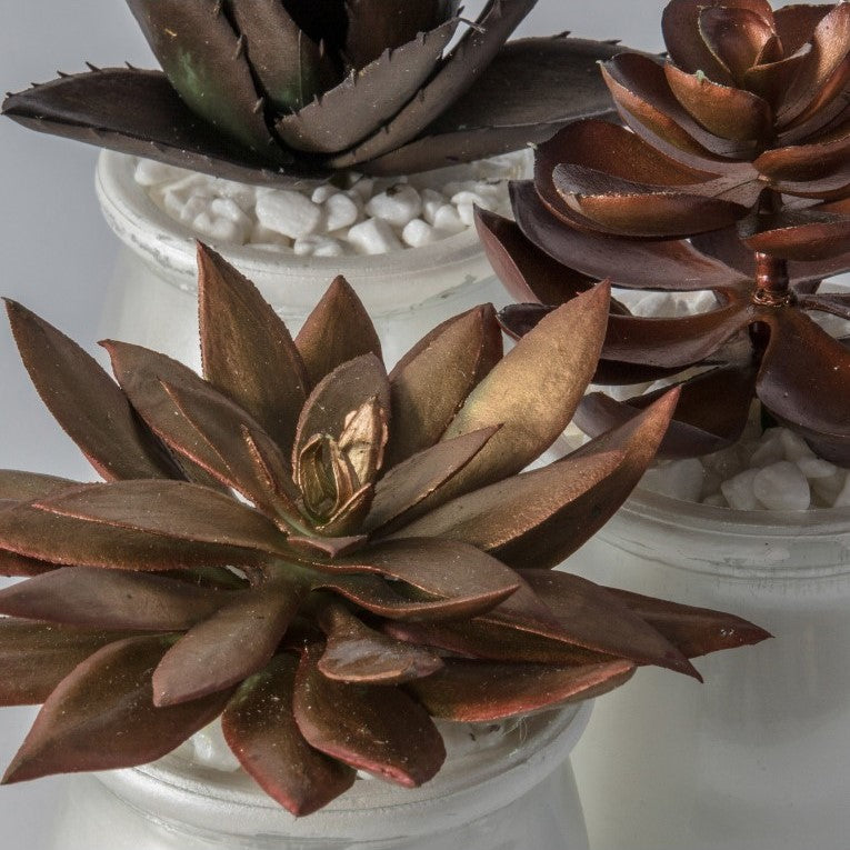 Set of 3 Chic Artificial Succulents in Stylish Pot